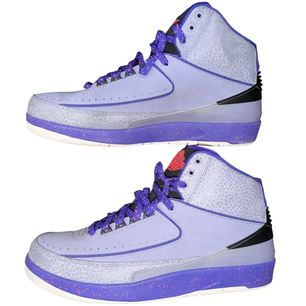 Air Jordan 2 Retro Iron Purple 2014 Men’s 11.5